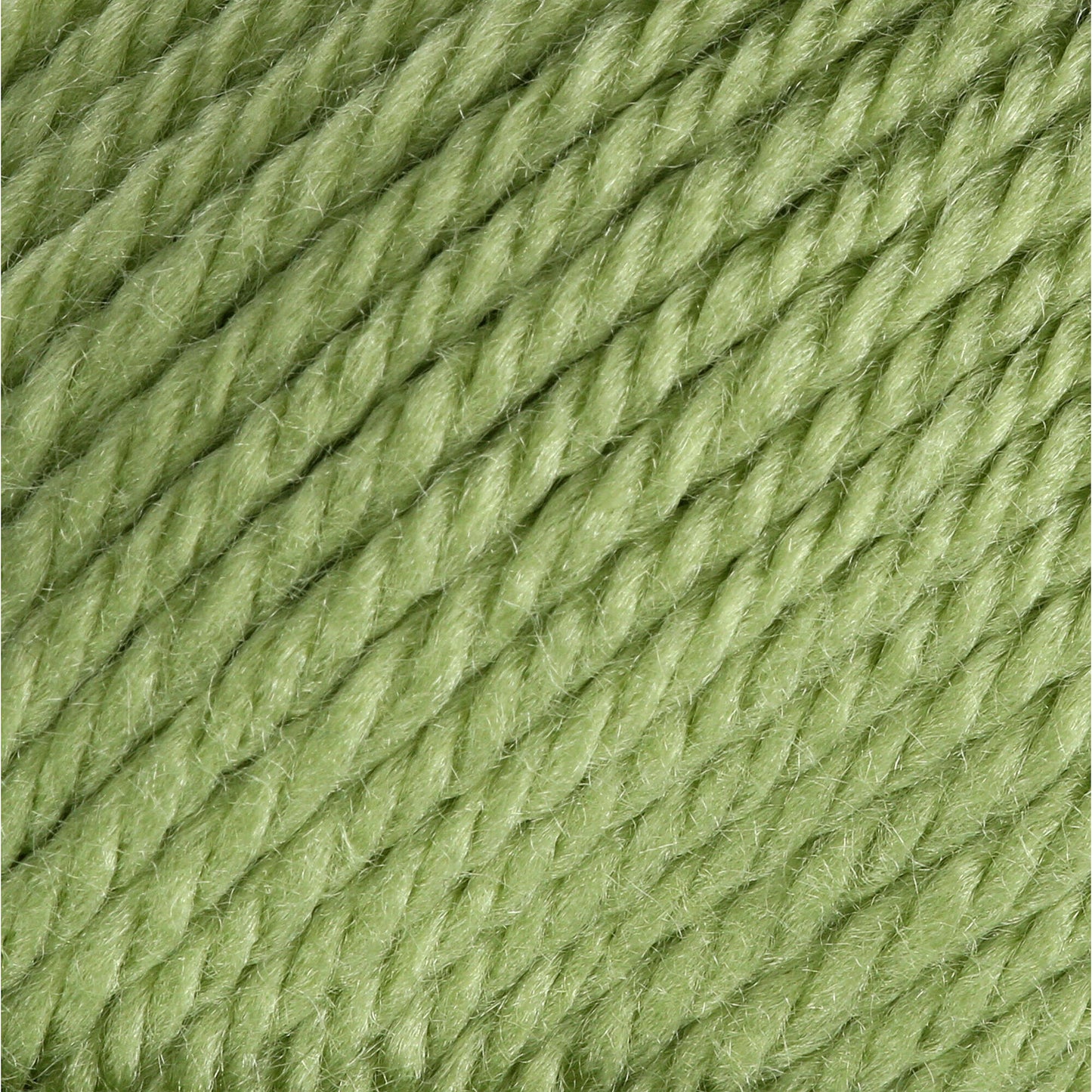Bernat® Satin - Fern (detail)