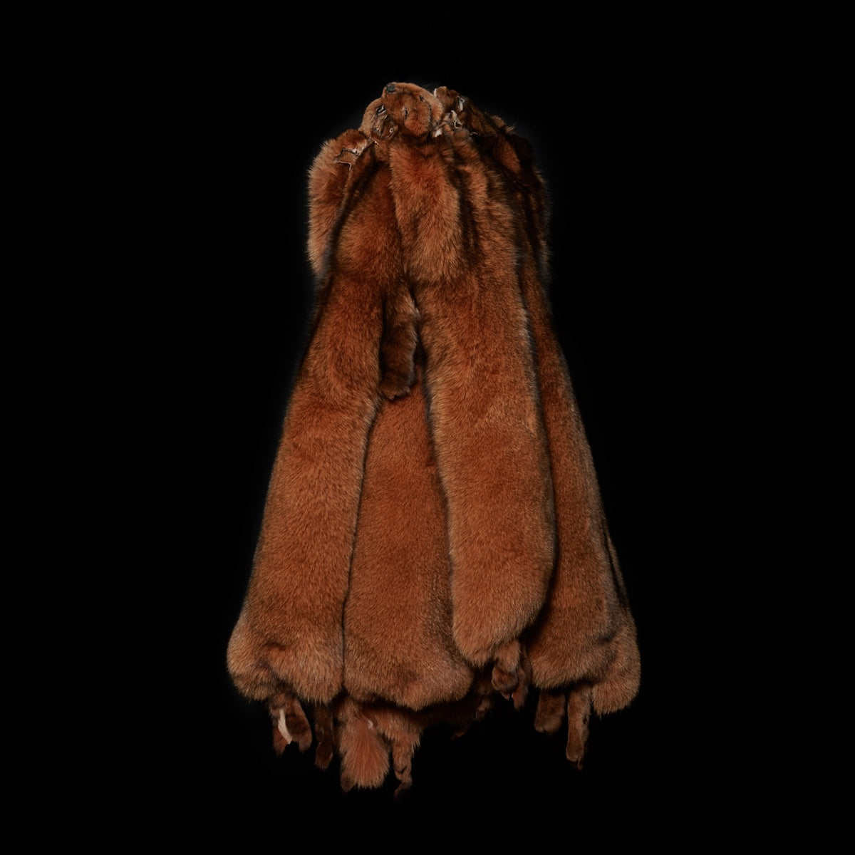 Dyed Norwegian Blue Fox Fur - Copper