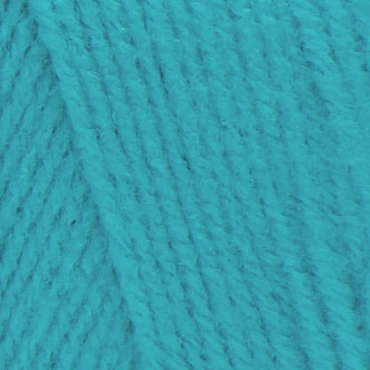 Red Heart® Super Saver - Turqua (detail)