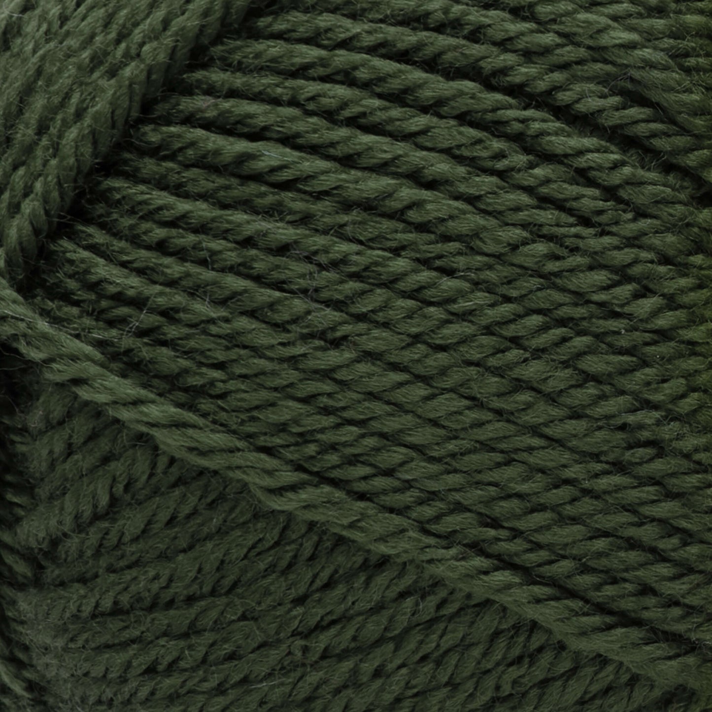 Red Heart® Soft - Dark Leaf (detail)