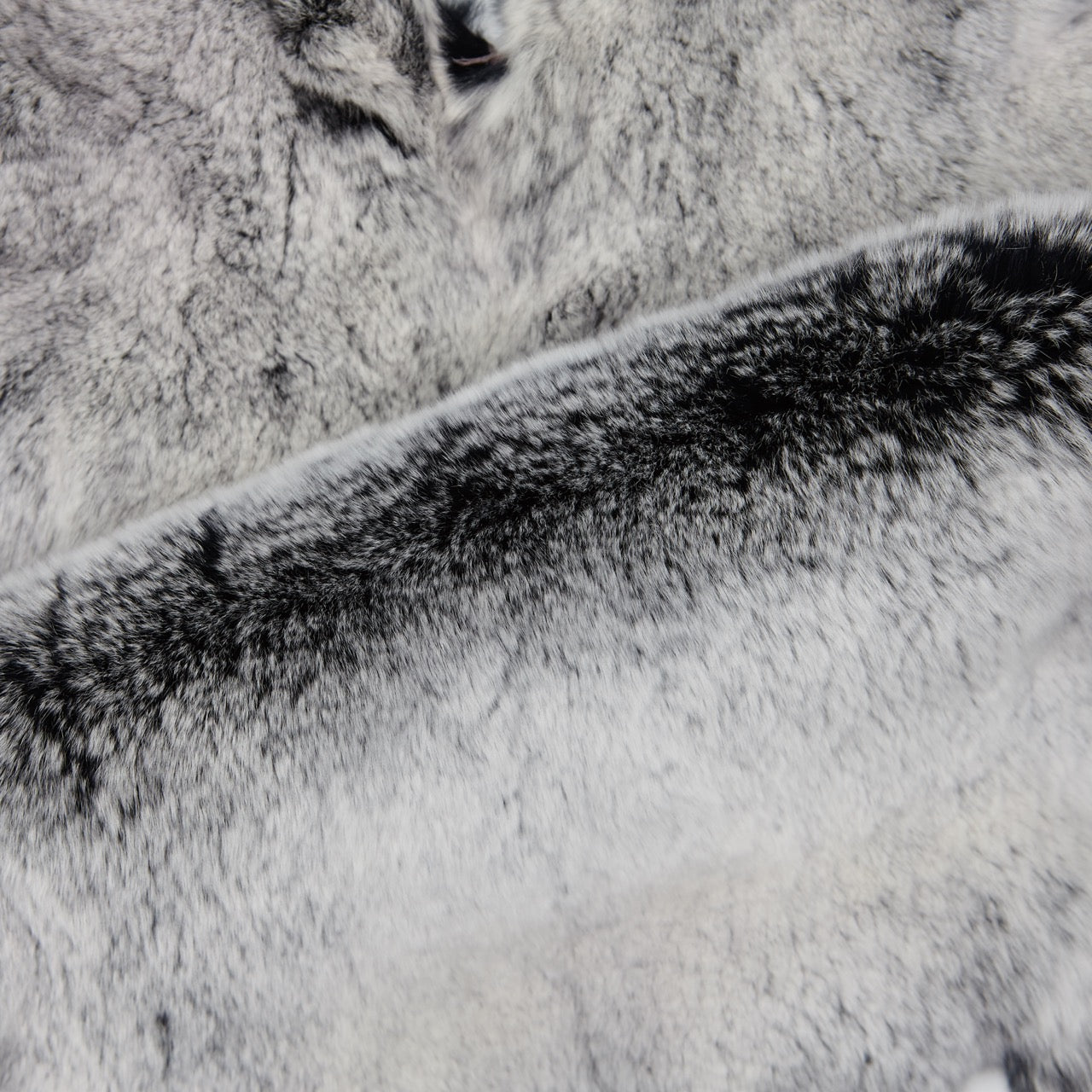 Rex Rabbit Fur - Black Frost (detail)