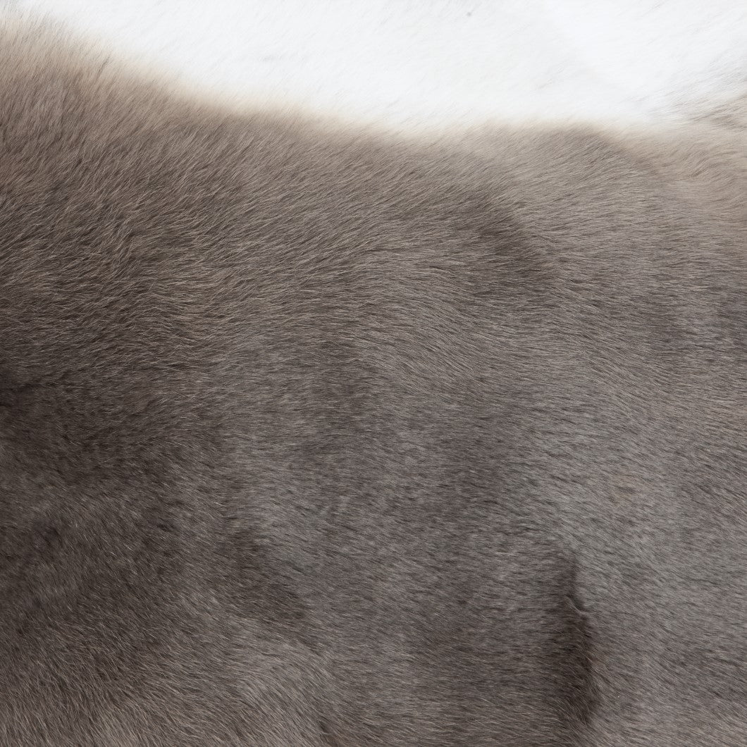 Rex Rabbit Fur - Grey / Tan (detail)