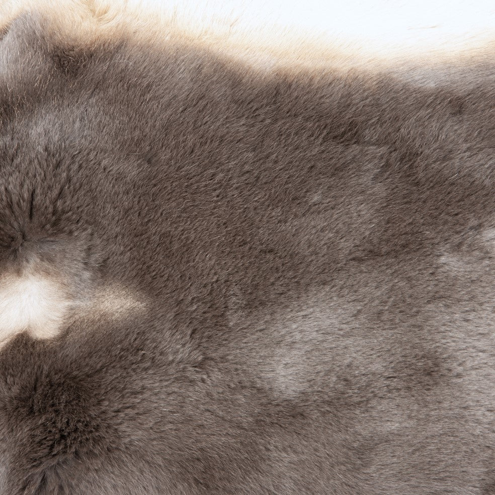 Rex Rabbit Fur - Grey / Tan (detail)