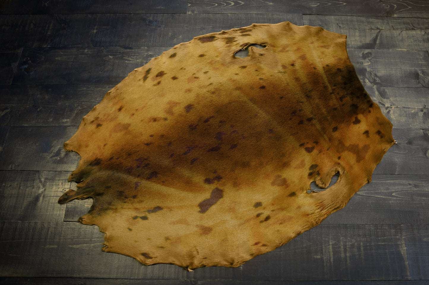 Dyed Harp Seal Skin - Camel (Gold)