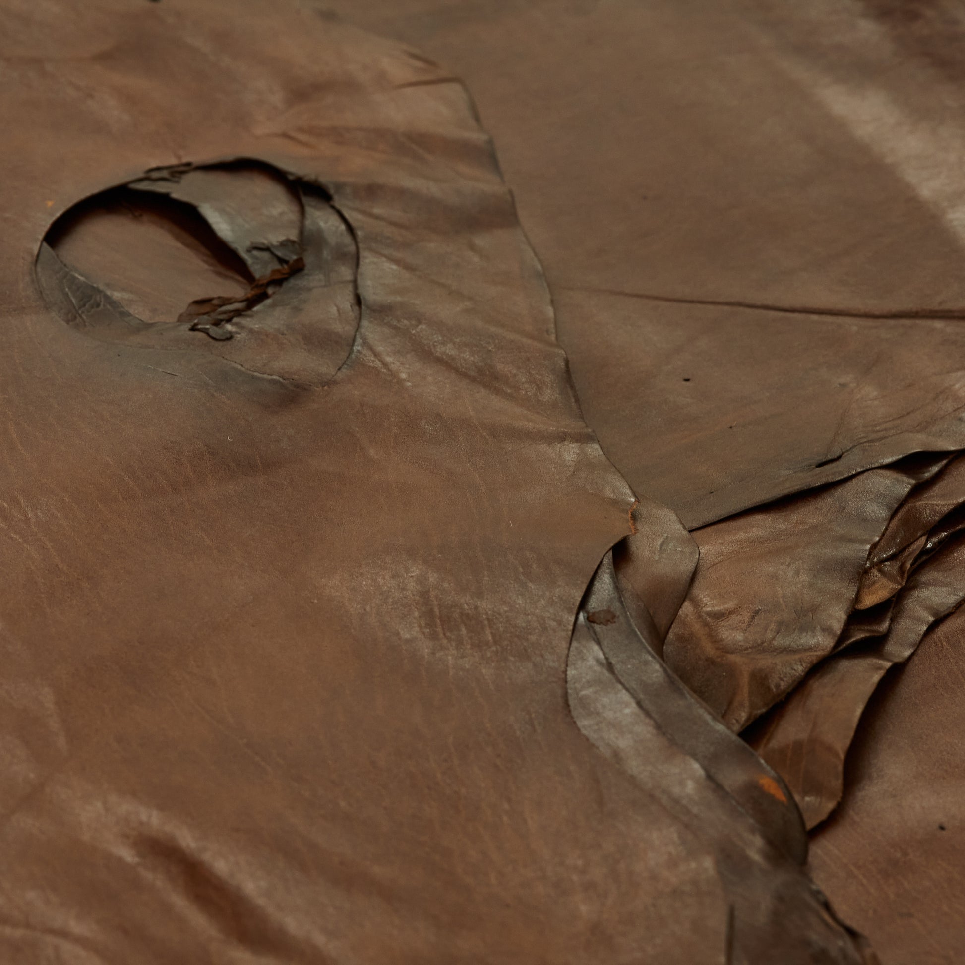 Harp Seal Leather - Brown (detail)