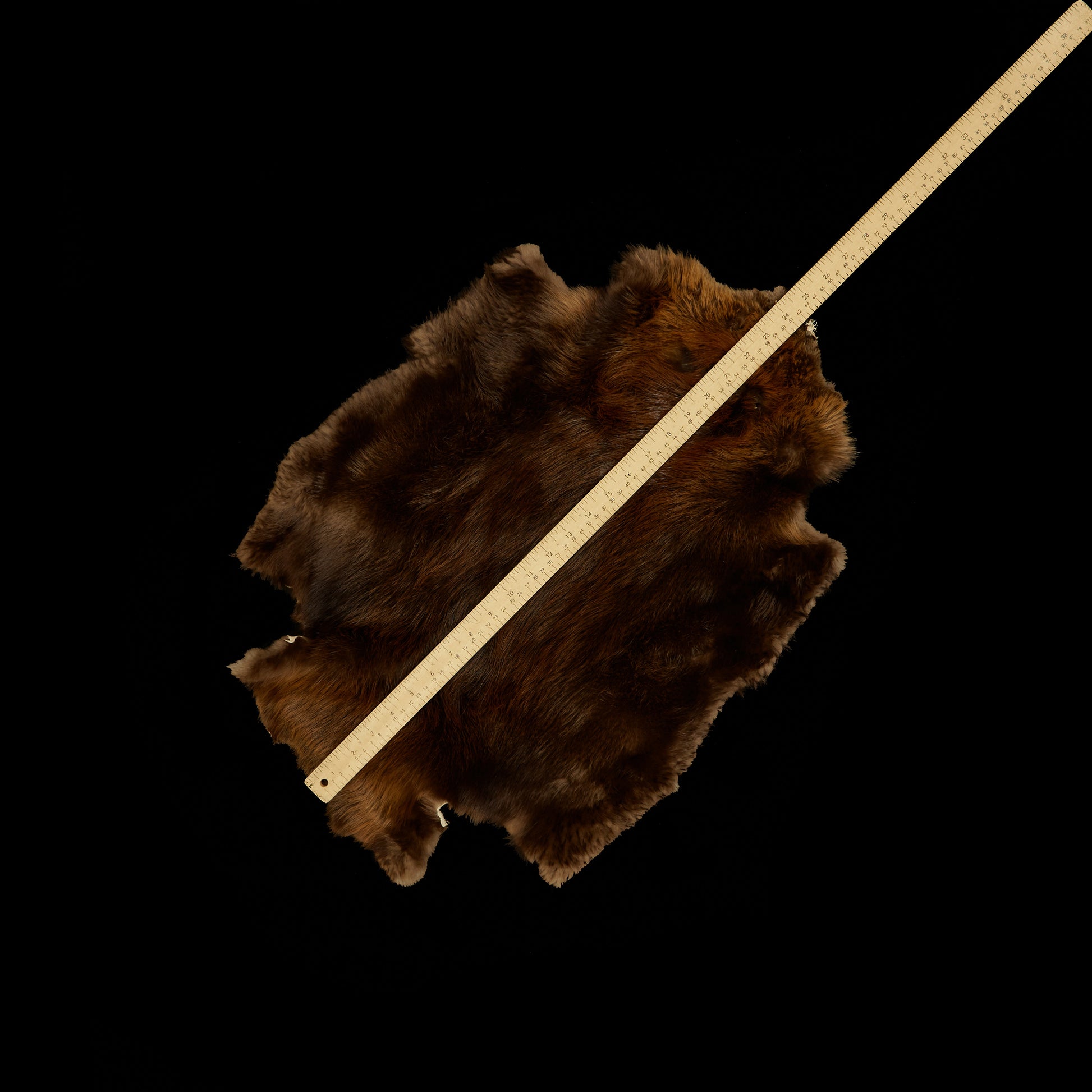 Long Haired Beaver Skin - Natural (large (size)