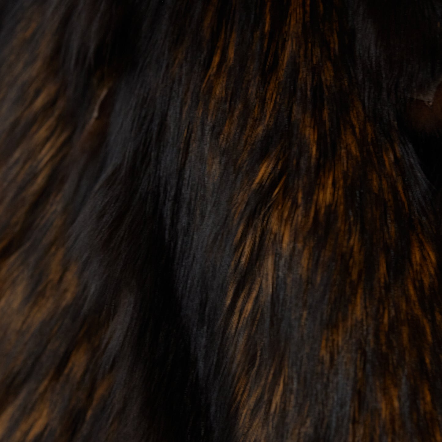 Silver Fox - Special/Unique Dyes - Klondike Gold (detail)