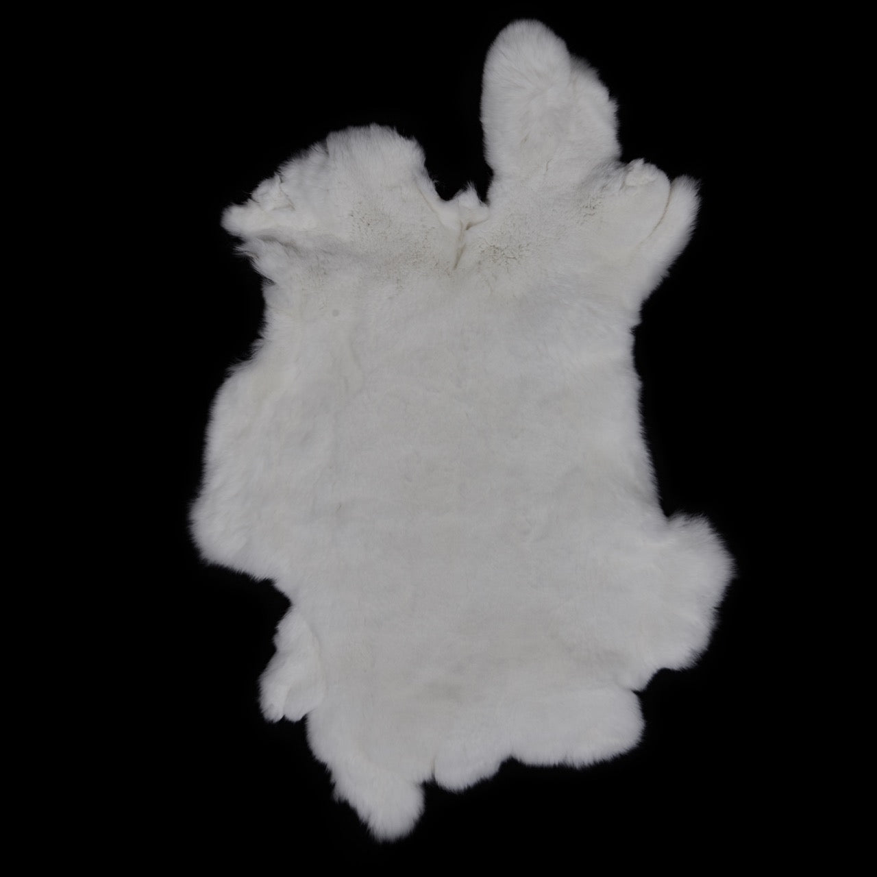 Rex Rabbit Fur - White