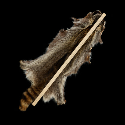 Raccoon Fur (2XL)