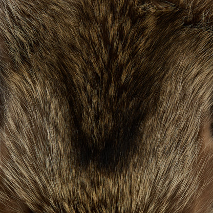 Raccoon Fur (detail 2)