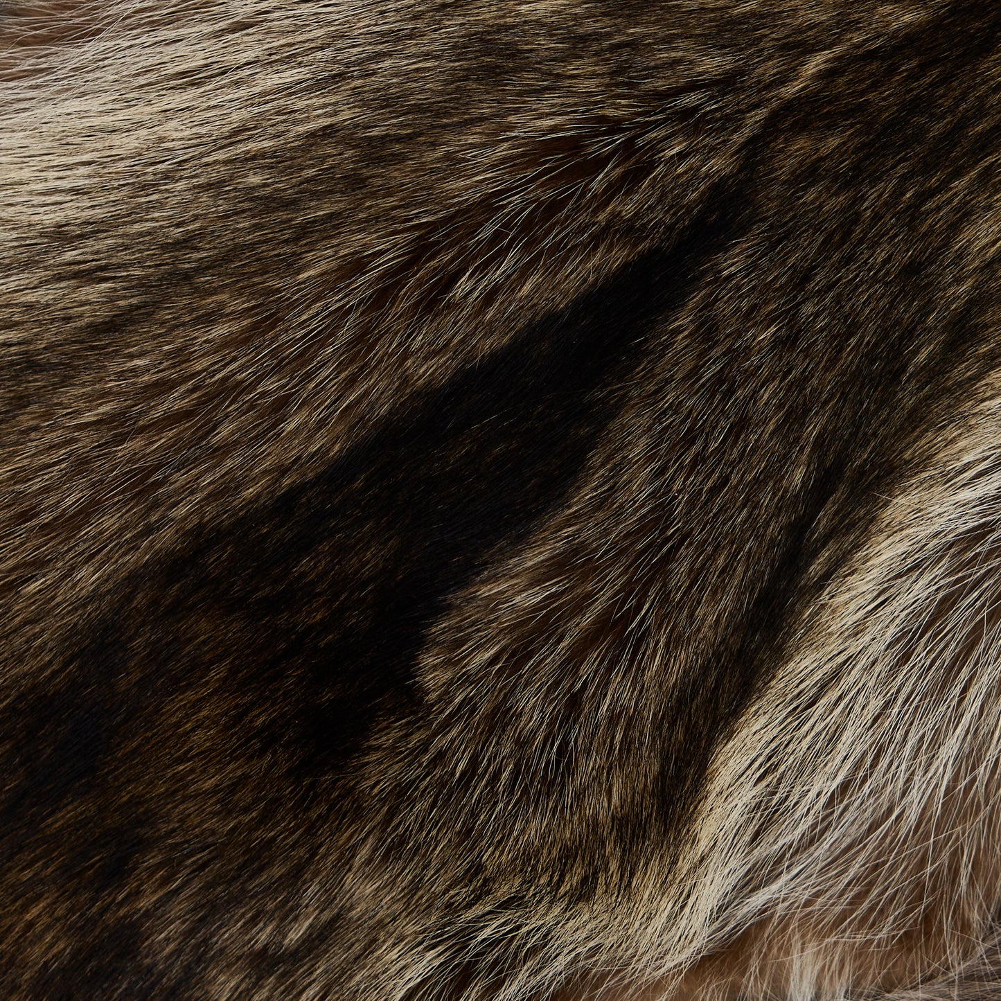 Raccoon Fur (detail 1)