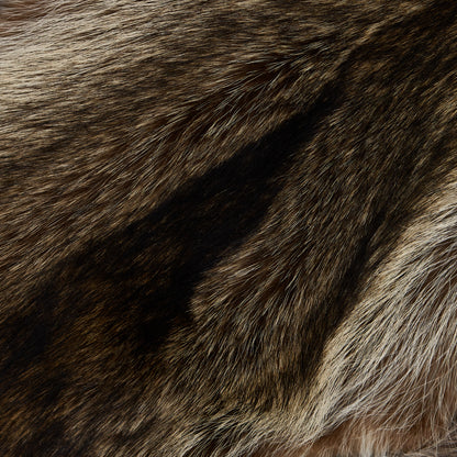 Raccoon Fur (detail 1)