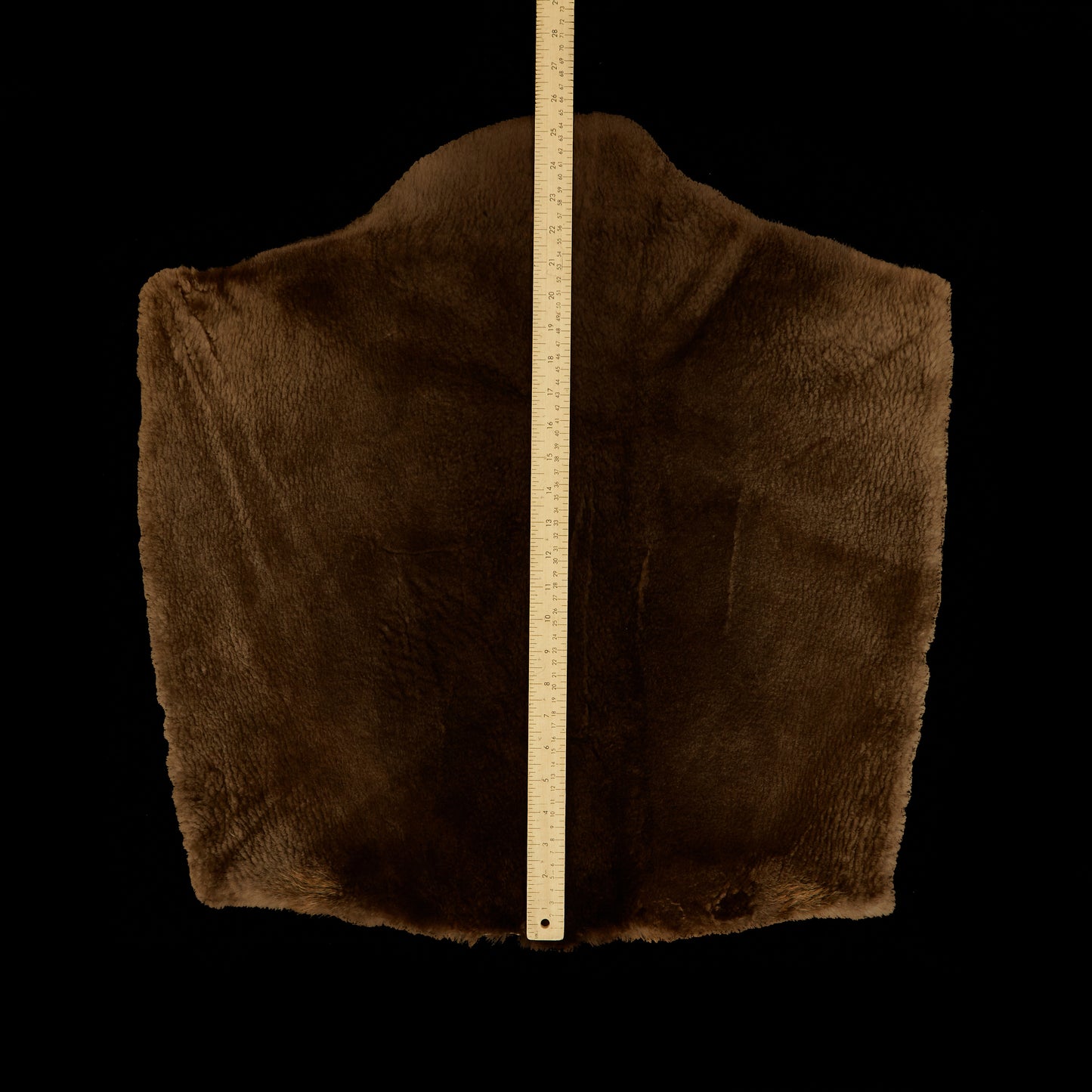 Sheared Beaver Skin (measured)
