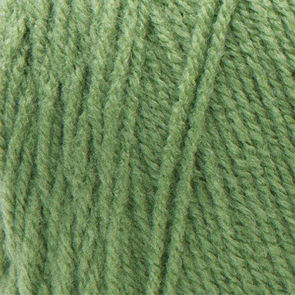 Red Heart® Super Saver - Tea Leaf (detail)