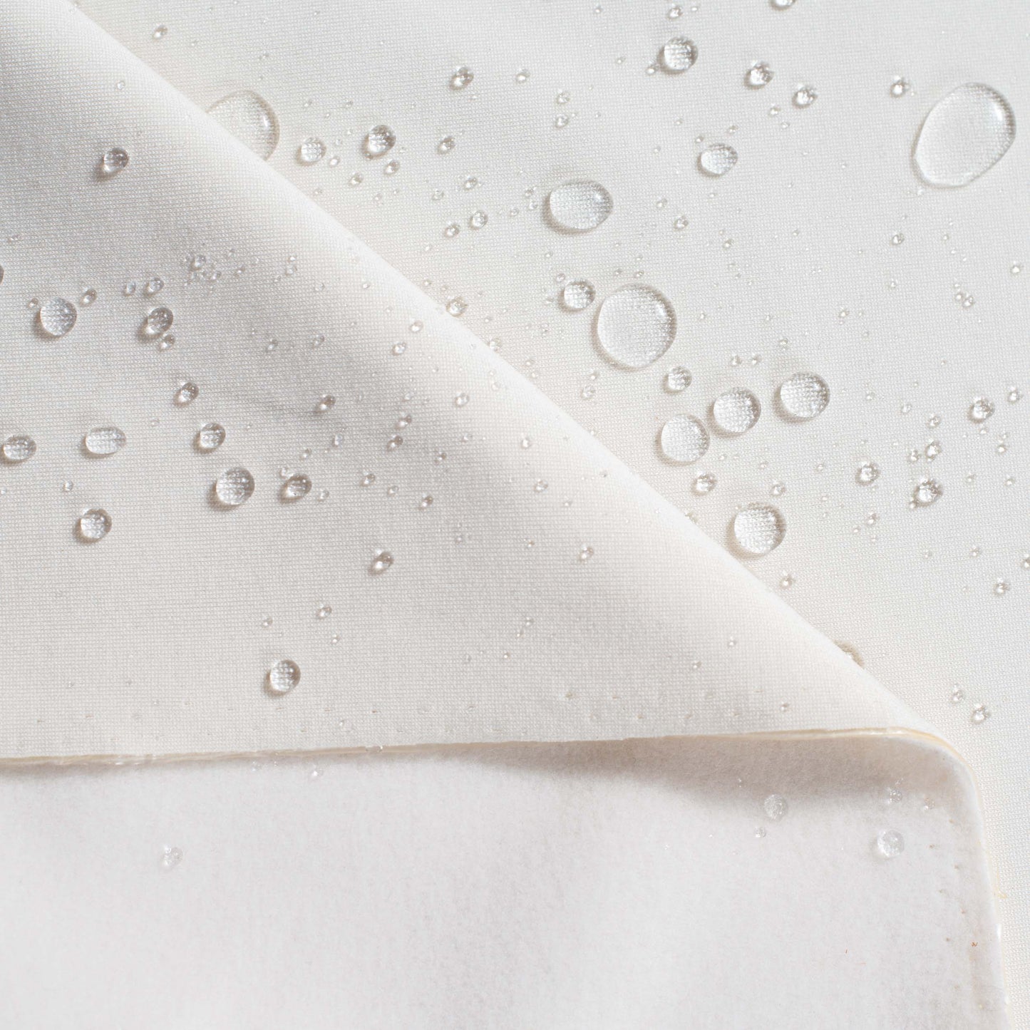 Soft Shell Light - Ivory