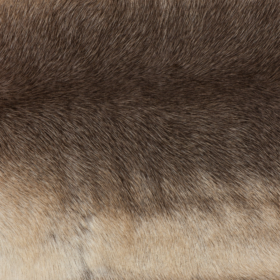 Caribou / Reindeer Skin - Natural (detail)