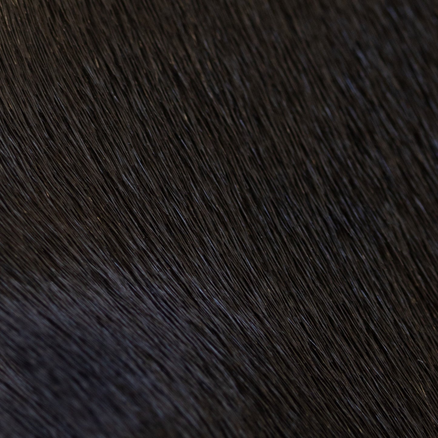 Dyed Harp Seal Skin - Dark Brown (close)