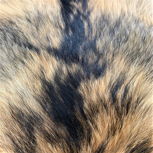 Finn Raccoon pelt (detail)