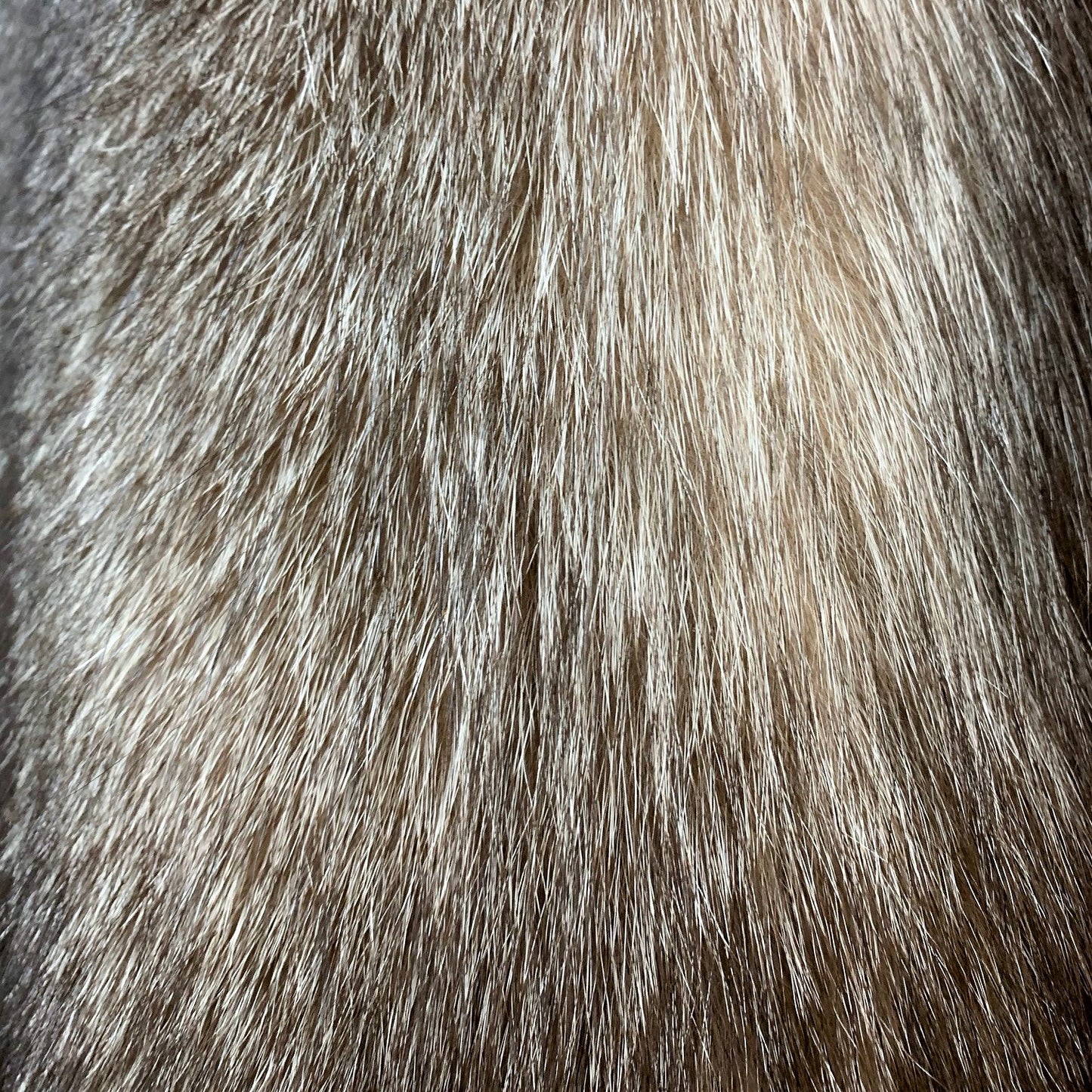 Dyed Indigo (Blue Frost) Fox Fur - Crystal (detail)