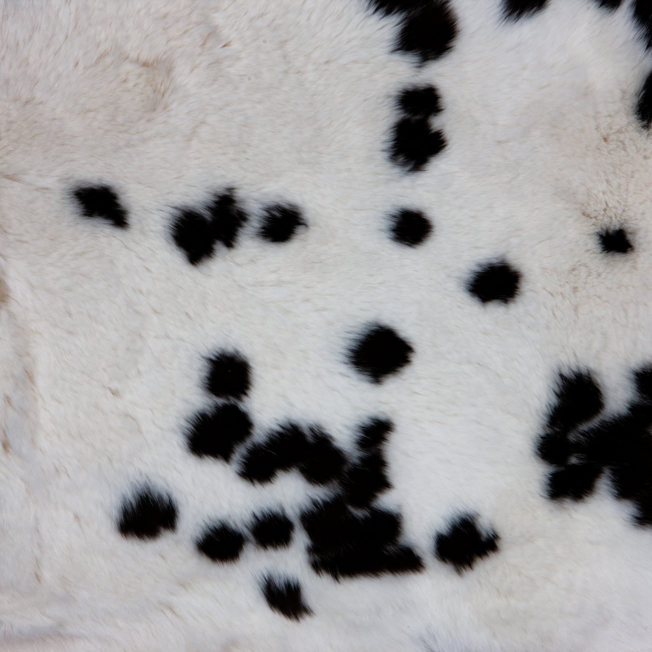 Rex Rabbit Fur - Spotted (detail)