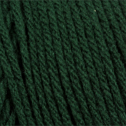 Bernat® Super Value - Deep Sea Green (detail)