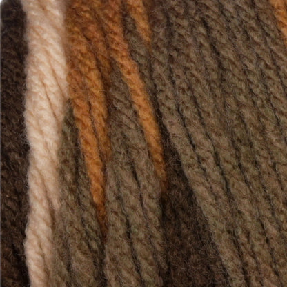 Bernat® Super Value - Beachwood Stripes (detail)