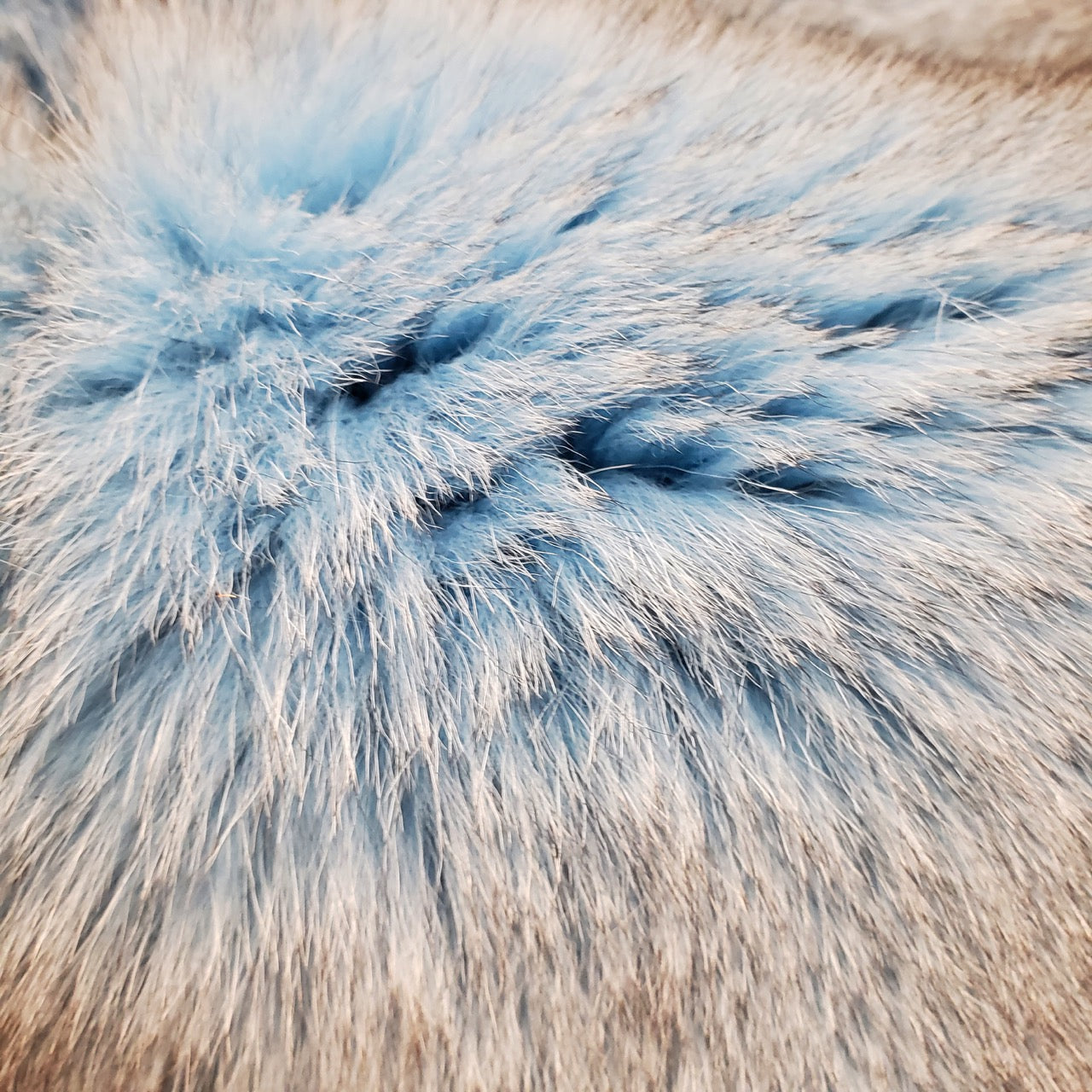 Dyed Norweigan Blue Fox Fur - Ocean Blue (detail)