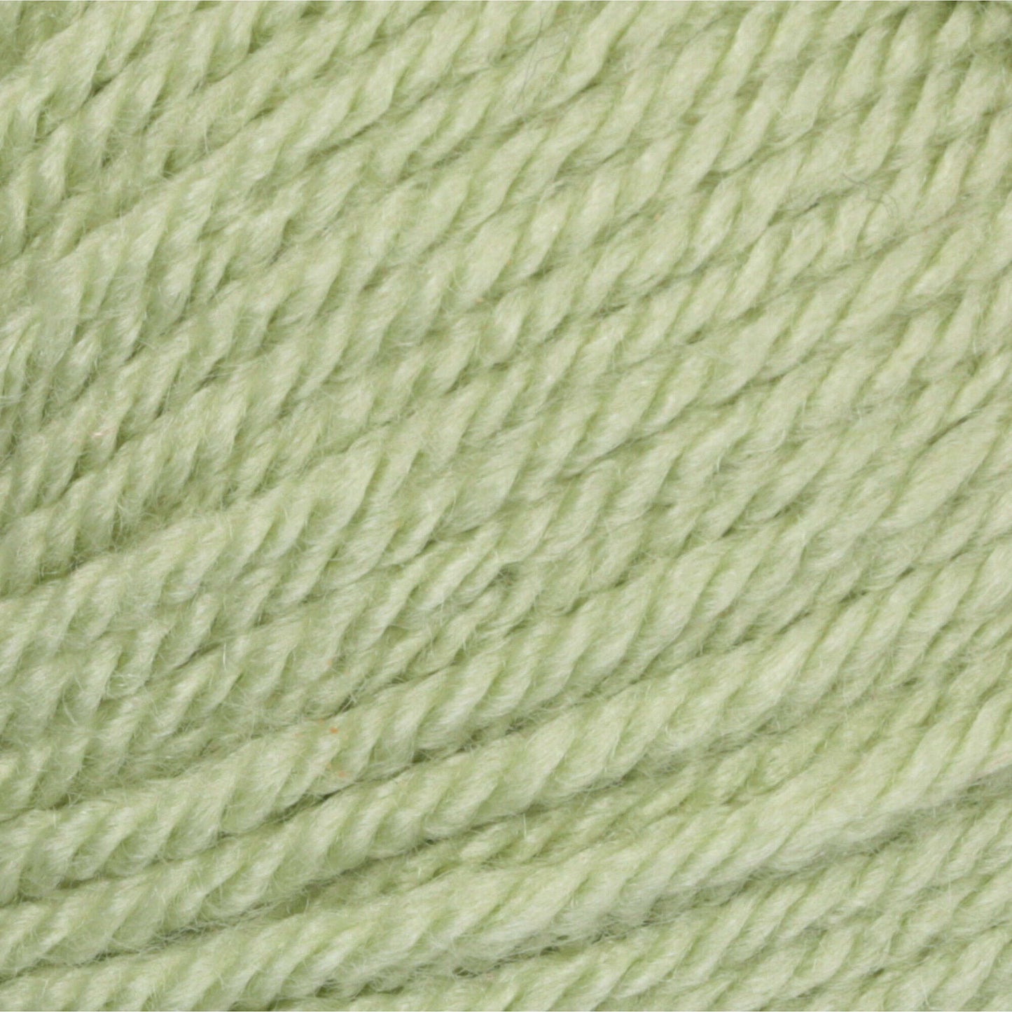 Patons® Canadiana - Cherished Green (detail)