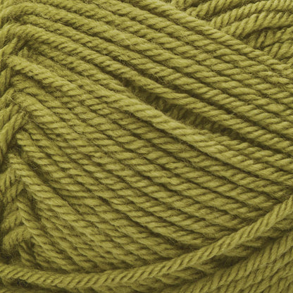 Patons® Canadiana - Spring Green (detail)