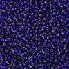Czech Seed Beads 10/0 - Hummingbird Blue