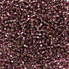 Czech Seed Beads 10/0 - Amethyst S/L