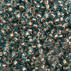 Czech Seed Beads 10/0 - Aqua (Copper-Lined)