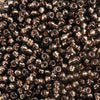 Perles Cristal - Diamant Noir