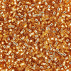 Miyuki Delica Beads 10/0 - Gold Silver Lined