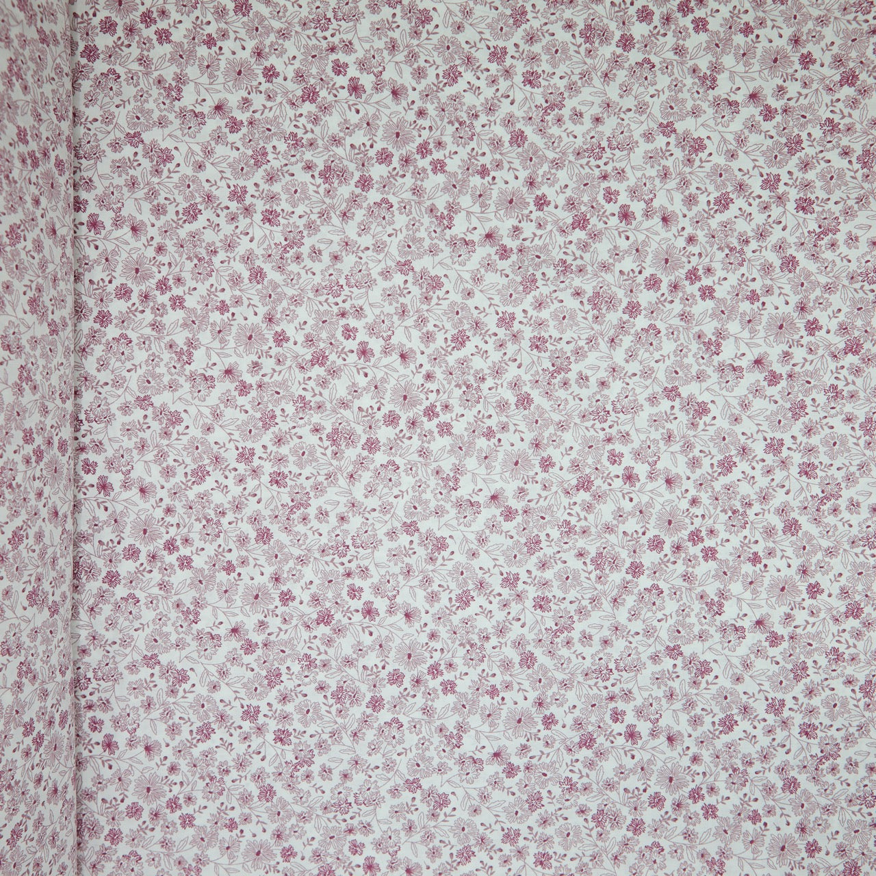 Cotton Floral - Lined Daisies - Pink (full)