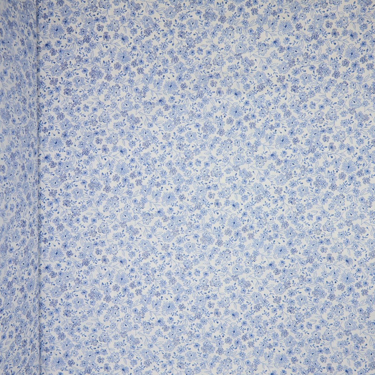 Cotton Floral - Lined Daisies - Blue (full)