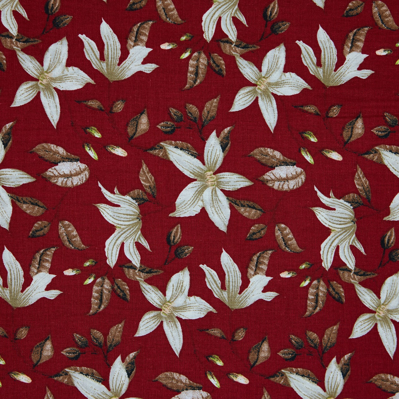 Cotton Floral - Spring Star