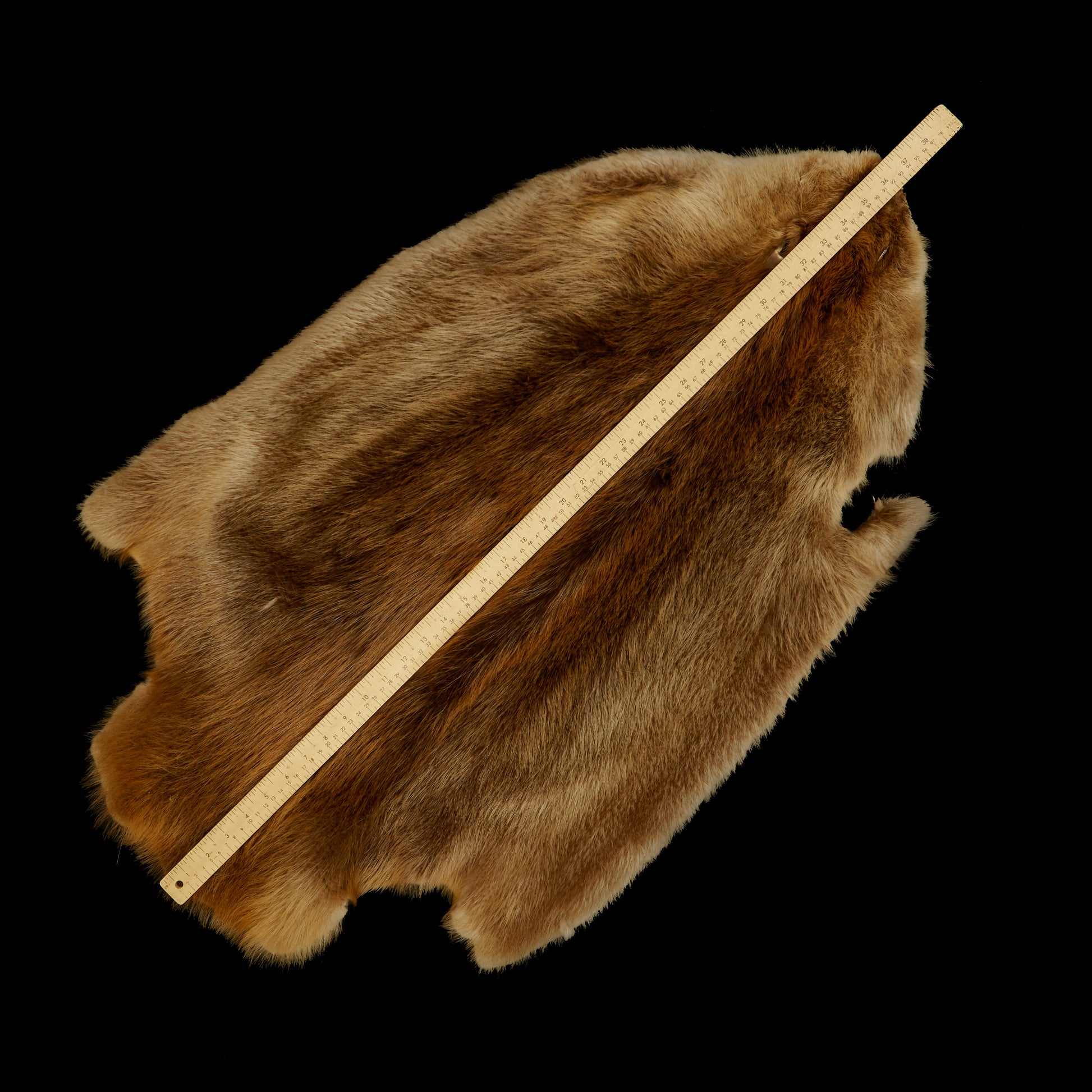 Long Haired Beaver pelt- Natural - SJ size