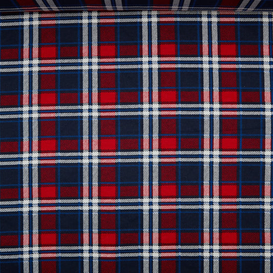 Flannel - Blue / Red Plaid