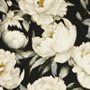 Commander® Floral - Ash Peony