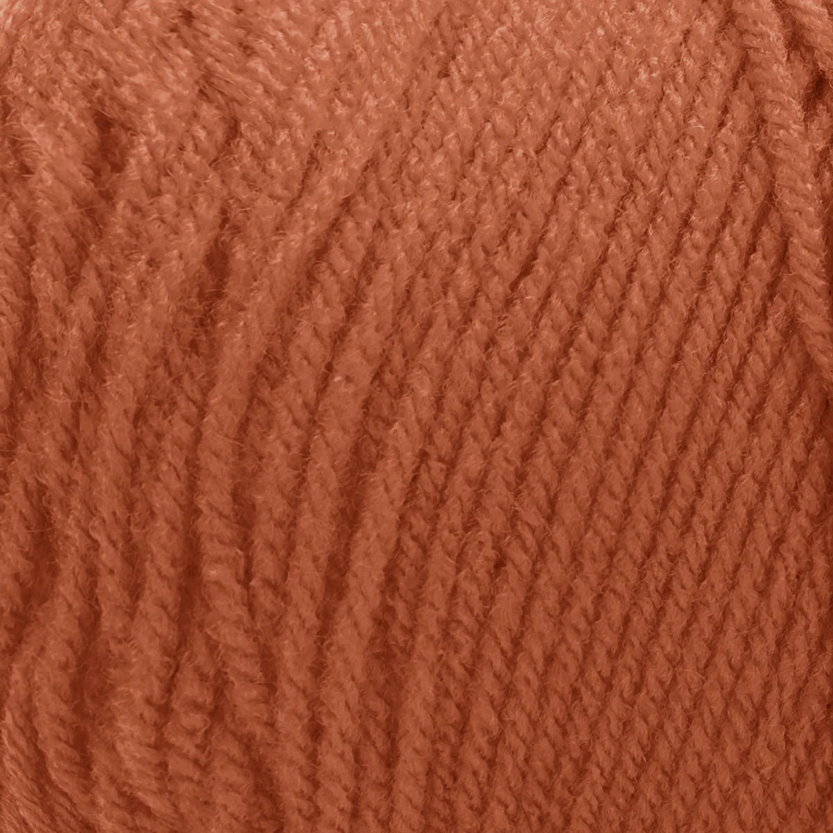 Red Heart® Super Saver - Sienna (detail)