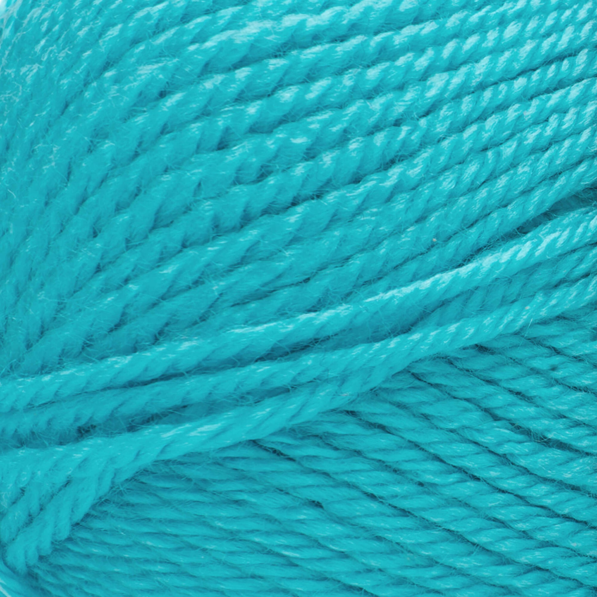 Red Heart® Soft - Turquoise (detail)