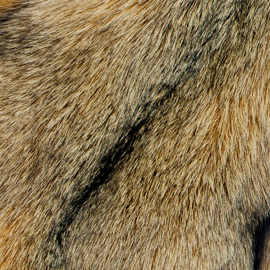 Dyed Indigo (Blue Frost) Fox Fur - Klondike Gold (detail)