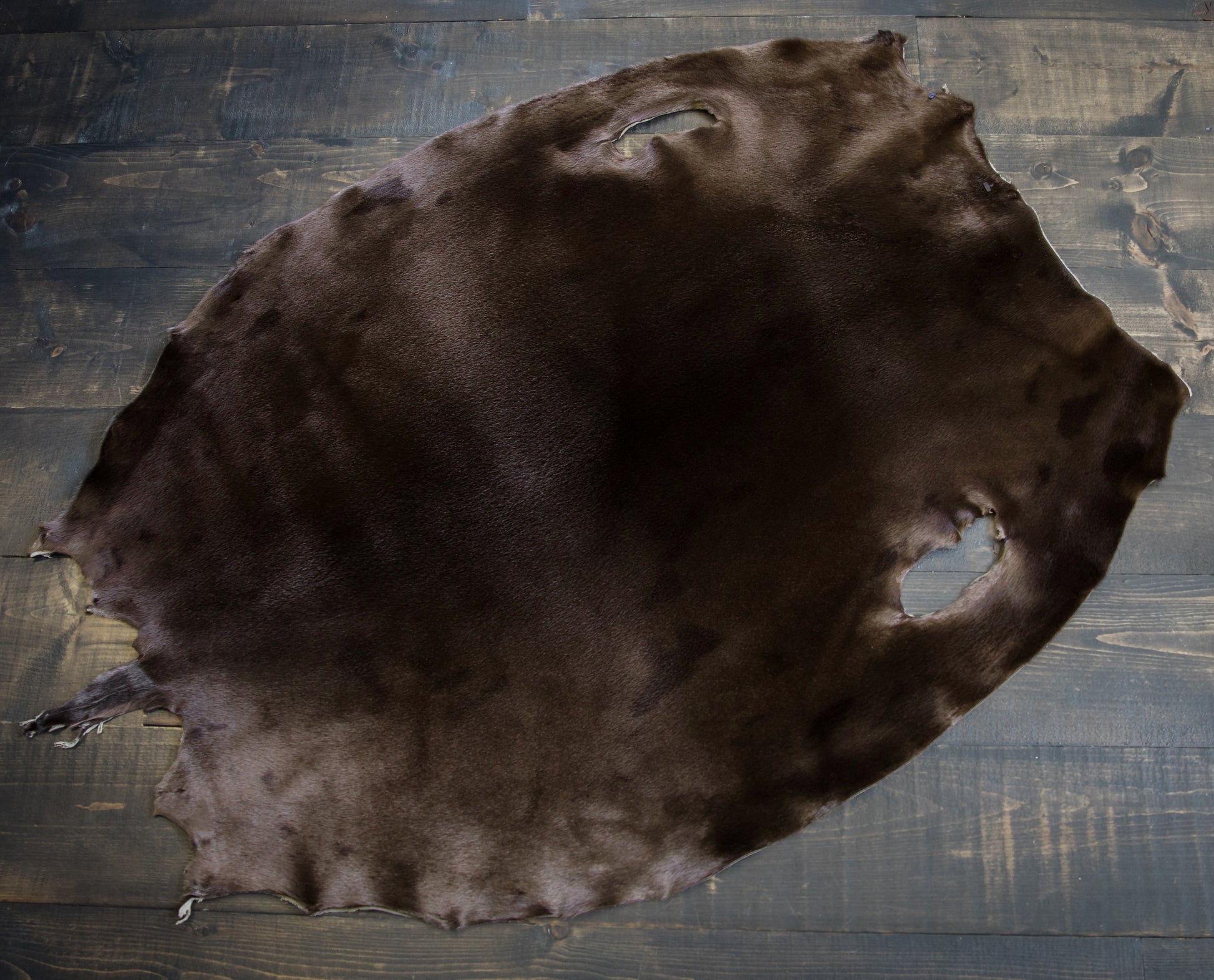 Dyed Harp Seal Skin - Cacao