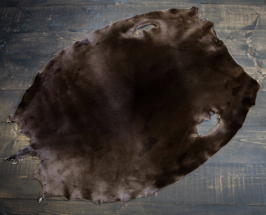 Dyed Harp Seal Skin - Cacao