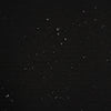 Textured Poly Melange - Black