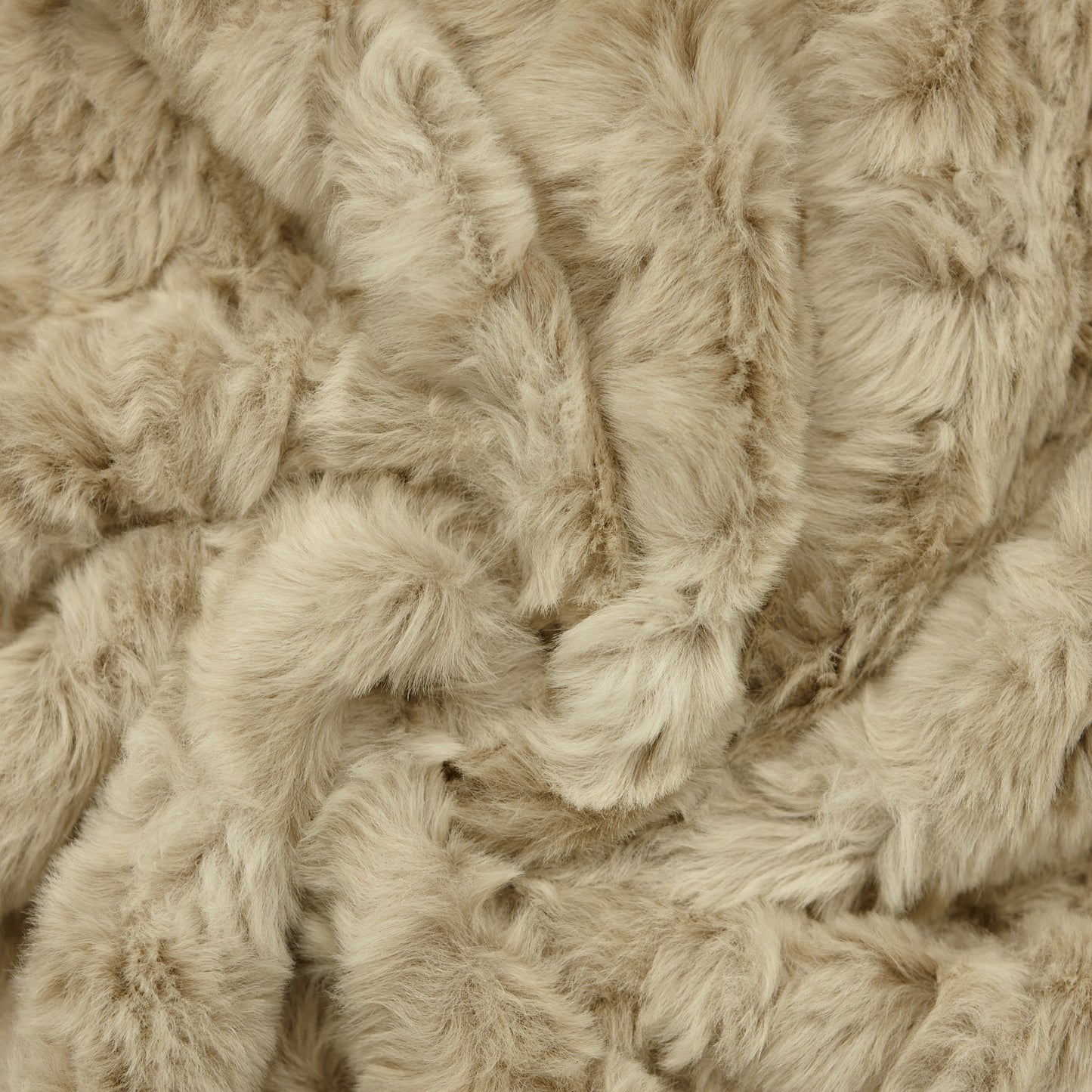 Faux Fur - Chow Chow (detail)