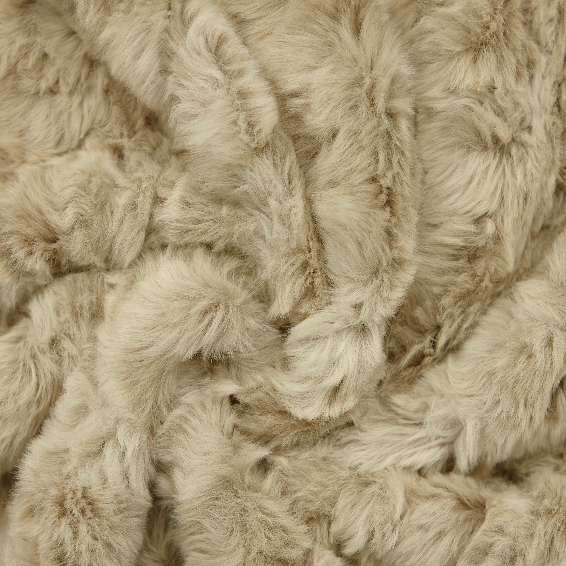Faux Fur - Chow Chow (detail)