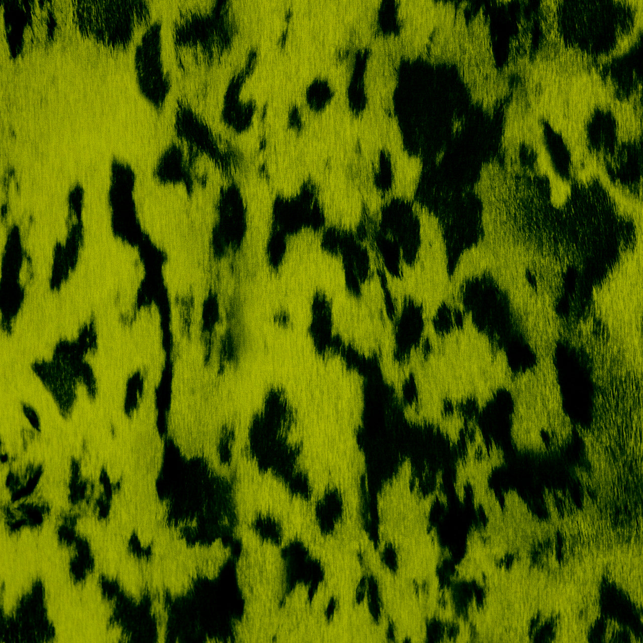Commander Seal Skin- Northern Lights Detail
