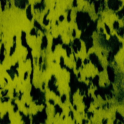 Commander Seal Skin- Northern Lights Detail